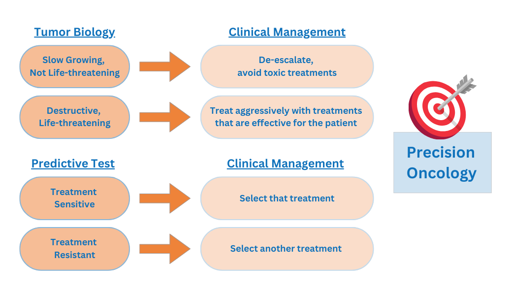 Read more about the article Precision Oncology Explained